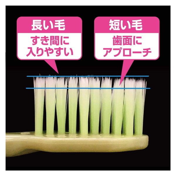 小林製薬 生葉 もふもふ磨けるブラシ レギュラー | 激安の新品・型落ち 
