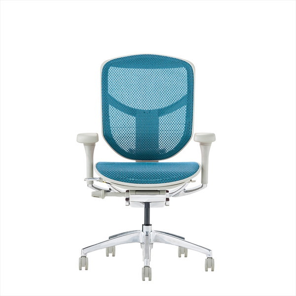 Ergohuman EJ2-LAM-GF-BL �O���[�t���[��×�u���[���b�V�� ENJOY2 Low Type [���[�^�C�v ���@�\�I�t�B�X�`�F�A]