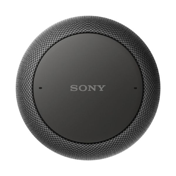 スマートスピーカー SONY LF-S50G 限定品 - スピーカー・ウーファー