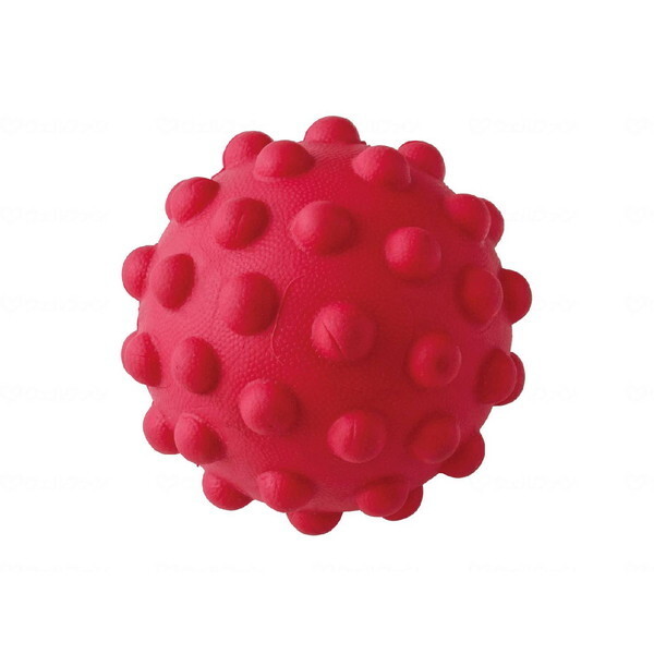 �H���H�� �X�b�L���{�[�� HARD NH3700