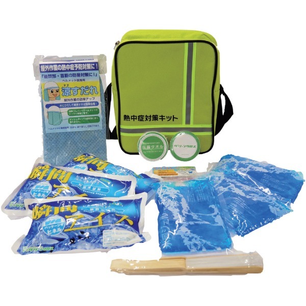 GREEN CROSS 1179070000 2337 �M���Ǒ΍�L�b�g(6�_�Z�b�g)