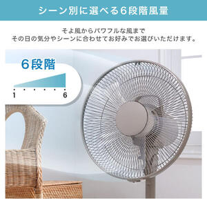 MAXZEN MFD30YS01M-WH ホワイト [DC扇風機] | 激安の新品・型落ち