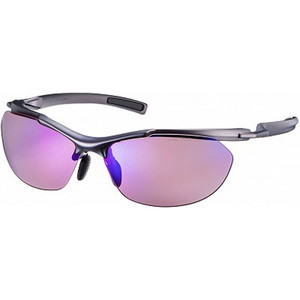 SWANS STRIXDA016 PAW サングラス ストリックス 偏光 マルチ パール