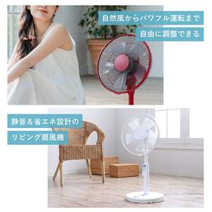 MAXZEN MFD30YS01M-RD レッド [DC扇風機] | 激安の新品・型落ち