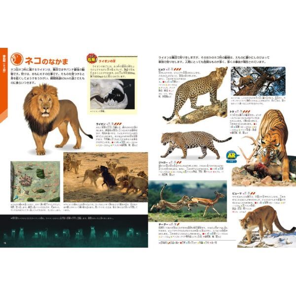 学研の図鑑 LIVE 17冊 ECO 3冊 全巻DVD付き 学研の図鑑LIVE（ライブ）『学研の図鑑LIVE新版 特典付き