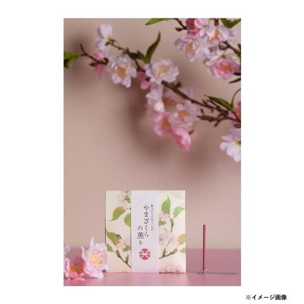 { R̂ӂ킯 ܂̌O XeBbN12{ 38621