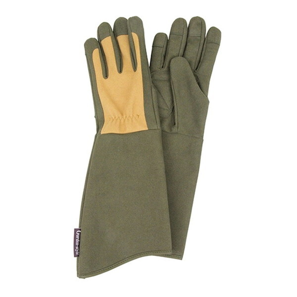 ZteB[3 gQhɂLG S STS-S