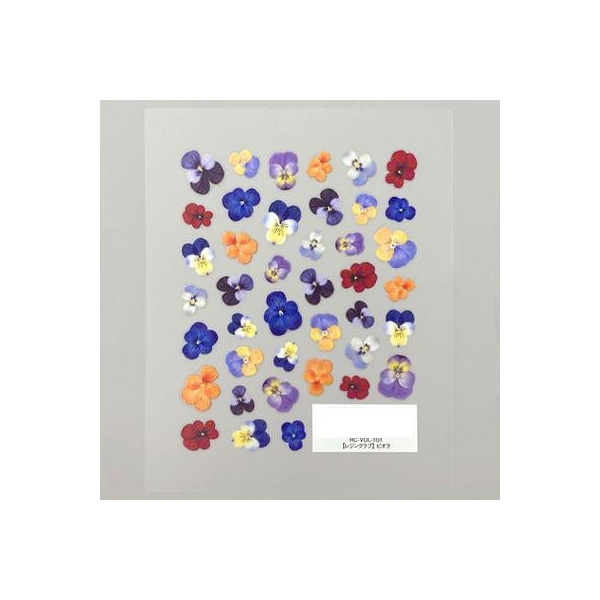 COJg WNu WV[ rI RC-VOL-101