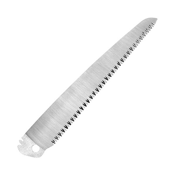 DCM ֐n܍ r ֐n A JGo