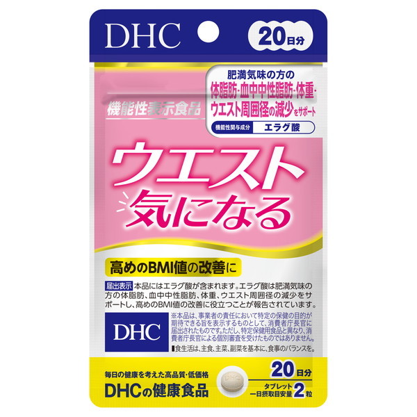 DHC 20 EGXgCɂȂ 40