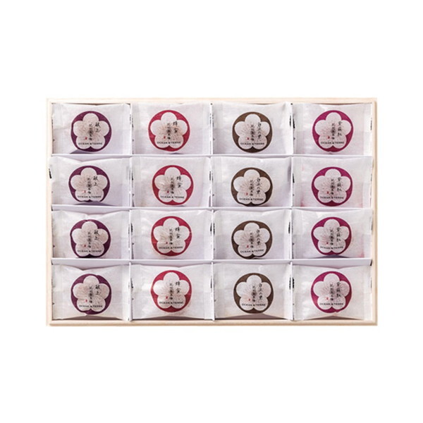 OCEAN&TERRE Premium IB썂~ 16  ؔ A382