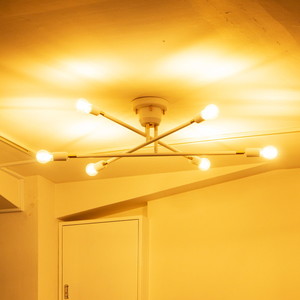 その他天井照明