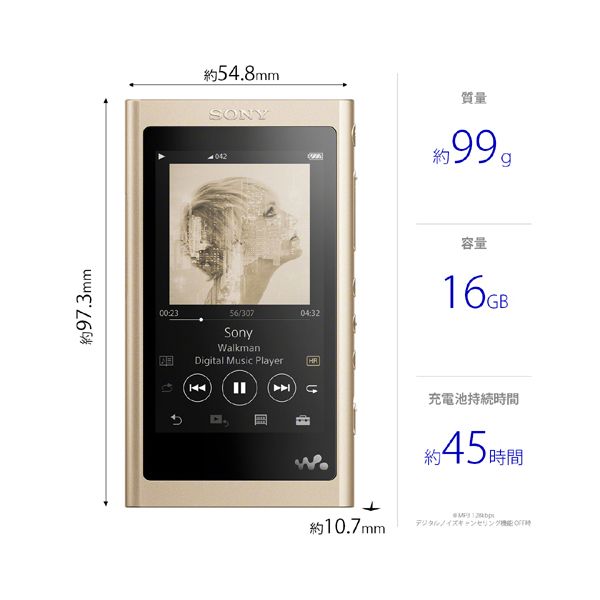 SONY NW-A55WI-N ペールゴールド Walkman(ウォークマン) A50シリーズ 