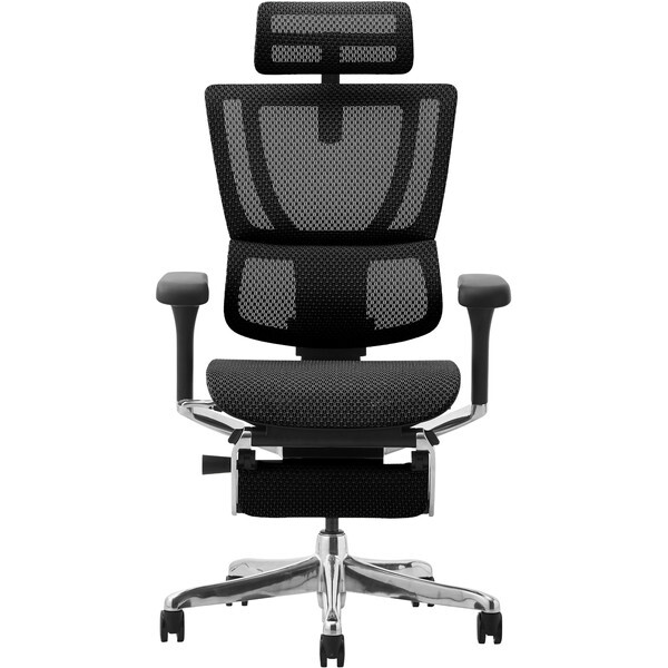 �։Ƌ� 459643 Ergohuman FIT2-LPL-DR-BF-BK �u���b�N�t���[��×�u���b�N [�I�t�B�X�`�F�A]