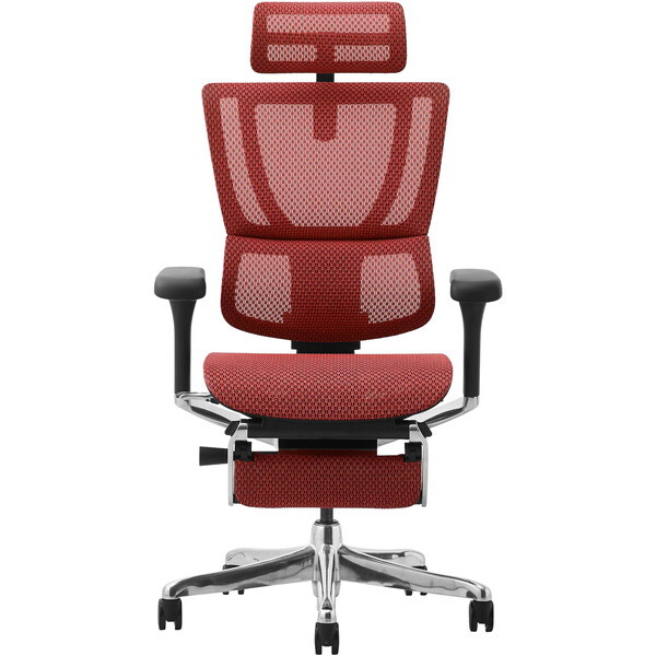 ։Ƌ 459645 Ergohuman FIT2-LPL-DR-BF-RD ubNt[×bh [ItBX`FA]