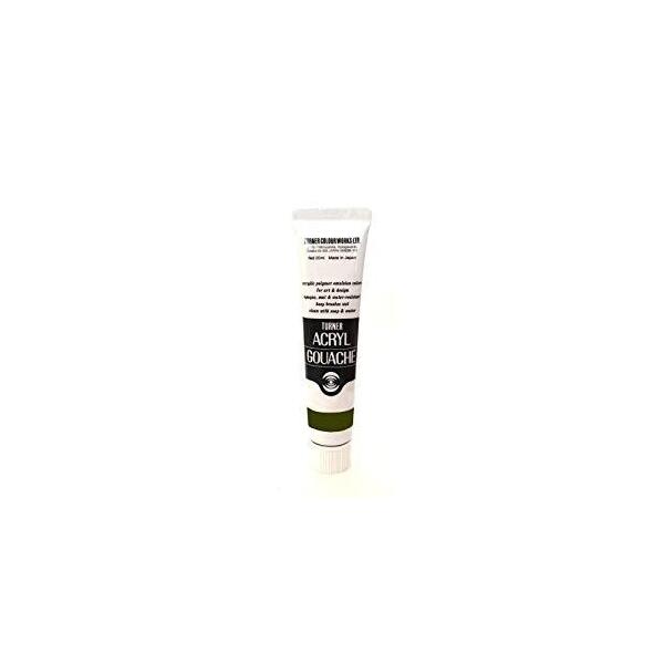 �^�[�i�[�F�� AG020046 �I���[�u �O���[��(20ml) �A�N�����K�b�V��