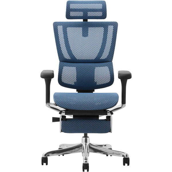 ։Ƌ 459646 Ergohuman FIT2-LPL-DR-BF-BL ubNt[×u[ [ItBX`FA]