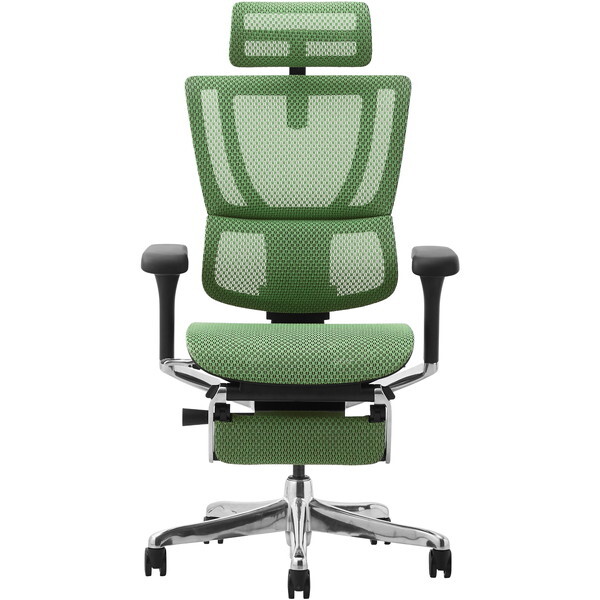 ։Ƌ 459647 Ergohuman FIT2-LPL-DR-BF-GN ubNt[×O[ [ItBX`FA]