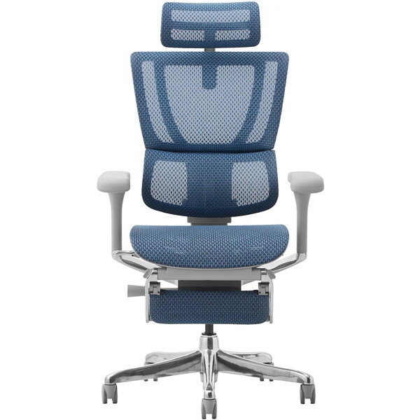 ։Ƌ 459651 Ergohuman FIT2-LPL-DR-GF-BL O[t[×u[ [ItBX`FA]