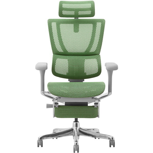 ։Ƌ 459652 Ergohuman FIT2-LPL-DR-GF-GN O[tt[×O[ [ItBX`FA]