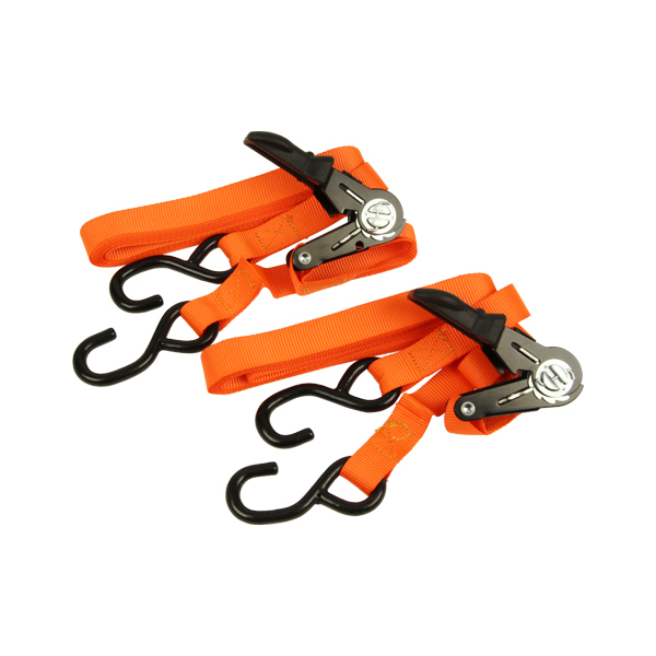 E-Value `Fbgxgג@ ERT-25SR 2pcs