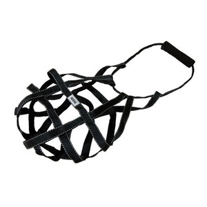 ダンベル/ウェイト