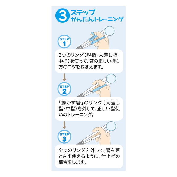 スケーター ADXT1S はらぺこあおむし 子供用 しつけ箸 14cm