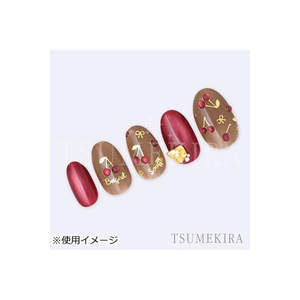イングカワモト TSUMEKIRA(ツメキラ) ネイルシール 福岡あみ