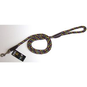 犬用首輪・胴輪・リード