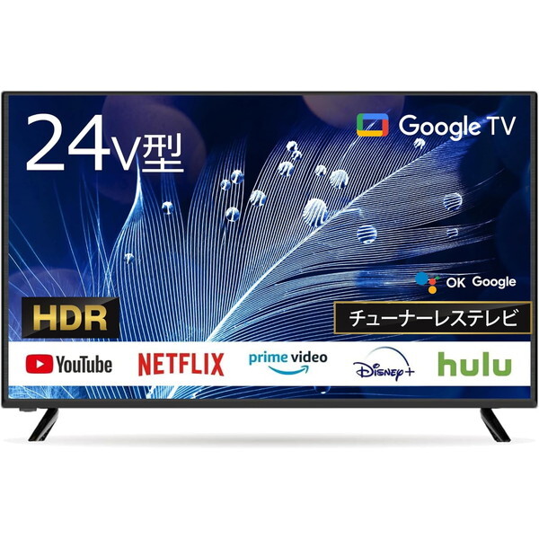 Wis 24GTN [24V�^ Google�`���[�i�[���X �t���e���r]