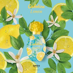 香水（レディース）