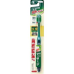 小林製薬 生葉 もふもふ磨けるブラシ レギュラー | 激安の新品・型落ち