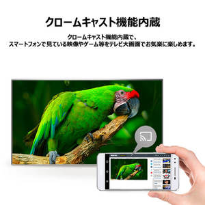 TCL 43V6A [43型 地上・BS・CSデジタル 4Kチューナー内蔵 スマート液晶
