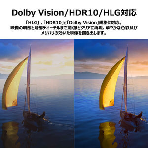 TCL 43V6A [43型 地上・BS・CSデジタル 4Kチューナー内蔵 スマート液晶