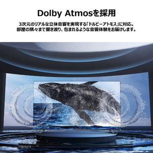 TCL 43V6A [43型 地上・BS・CSデジタル 4Kチューナー内蔵 スマート液晶