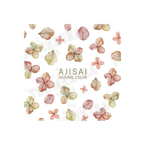 �C���O�J�����g TSUMEKIRA(�c���L��) �l�C���V�[�� yumi�v���f���[�X ���z�� �~�j�T�C�Y �i�`������ NN-YMI-007