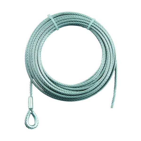 TRUSCO WWS910 �蓮�E�C���`�p���C���[��9×10M�p(�V���u�����胍�b�N���H)