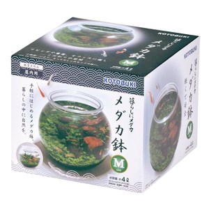 水槽・アクアリウム