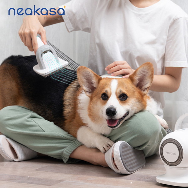 neakasa neakasa P1 PRO ホワイト [ペットグルーミングセット