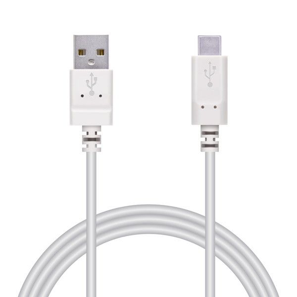 ELECOM MPA-FACY10WH [3AΉ炩Type-CP[u (A-C)]