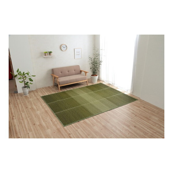 イケヒコ・コーポレーション 1070480124203 ラグ 小林製薬 持続性抗菌剤 KOBA-GUARD 制菌 抗菌防臭 滑り止め ウレタン 不織布 夏 い草 グラデーション グリーン 約190×250cm