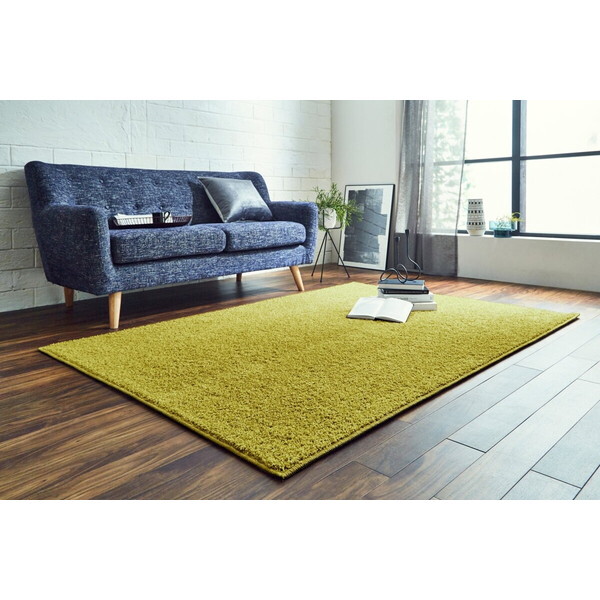 �C�P�q�R�E�R�[�|���[�V���� 1340740217103 �T���e�B�G �����` OV 150×150 �I���[�u [�J�[�y�b�g]