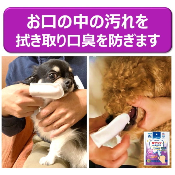 楽天市場】ペット用歯ブラシ ライオン PETKISS 指サック歯ブラシ