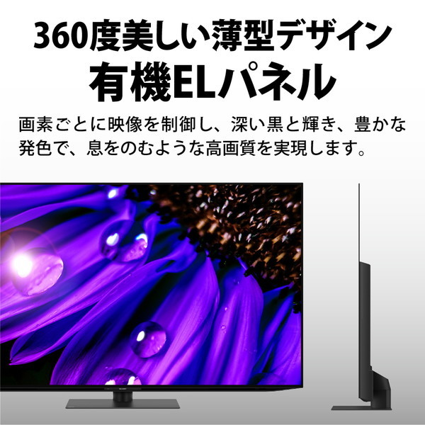 SHARP 4T-C48EQ2 AQUOS EQ2 [48V型 地上・BS・CSデジタル4Kチューナー