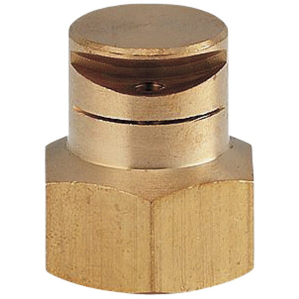 JN_C 576913 [XvCwbh 13/180°]