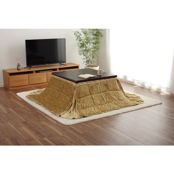 CPqRER[|[V 1181590022621 ȃXy[X zc ` n 􂦂 x[W 200×200cm