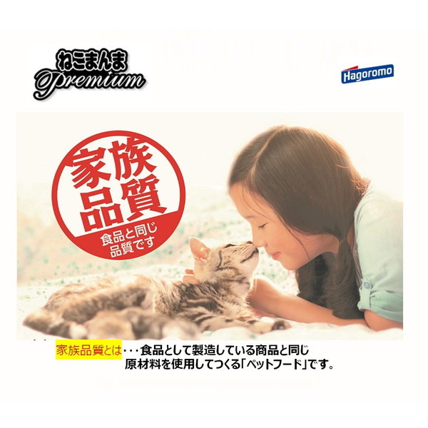 はごろもフーズ プレミアムねこまんまパウチ ほたて 35g