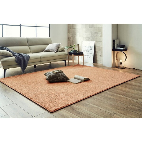 CPqRER[|[V 1340740307603 TeBG ` PPK 200×200 y[sN [J[ybg]