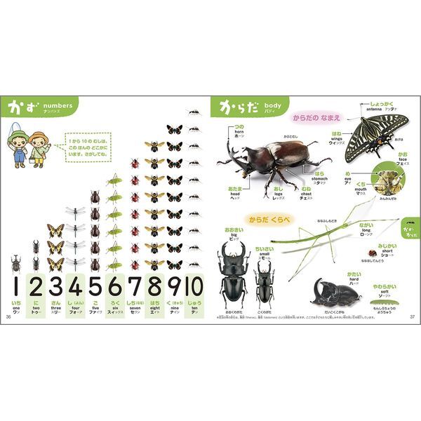 Gakken こどもずかん むし777 英語つき しゃしんバージョン