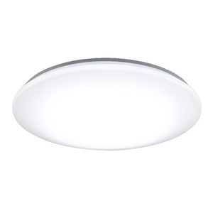 シーリングライト